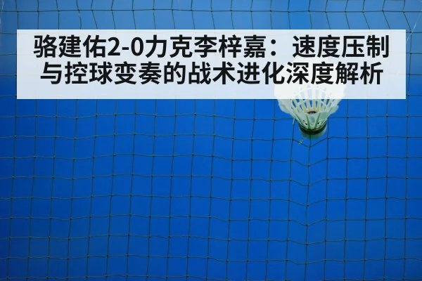 badminton net play
